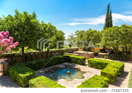 Gardens and fountains in Alhambra palace Gardens and fountains in Alhambra palace 73887105