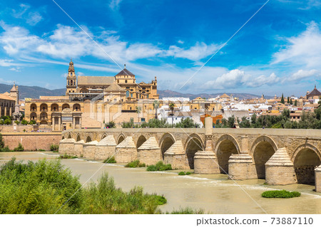 Roman Bridge in Cordoba 73887110