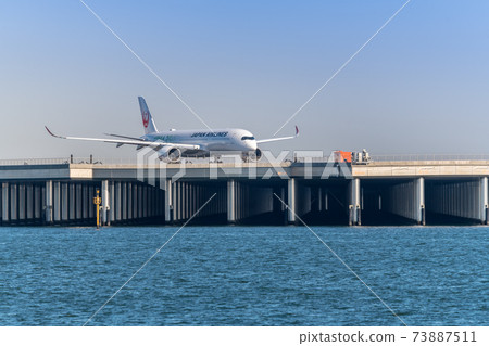 [JAL aircraft taxiing runway Ⅾ from Ukishimacho Park] 73887511