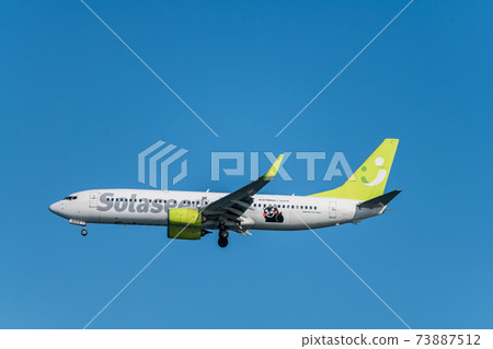 [Solaseed Air aircraft landing on Runway A from Ukishimacho Park] 73887512