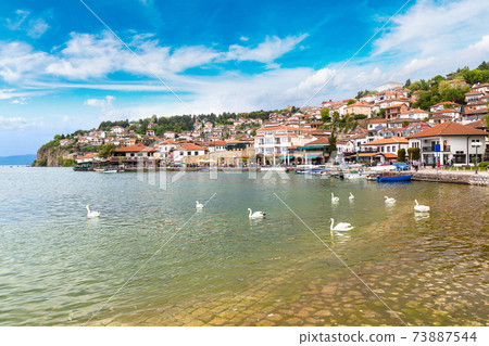 White swans on Ohrid lake, Macedonia 73887544