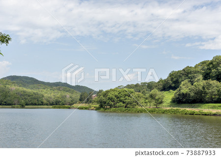 兵庫縣三田市有馬富士公園的夏日風景 73887933
