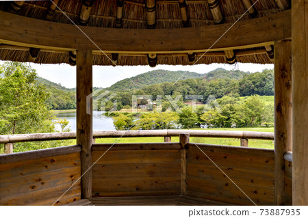兵庫縣三田市有馬富士公園的夏日風景 兵庫縣三田市有馬富士公園的夏日風景 73887935