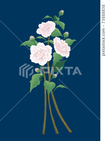 雙層木琴 73888838