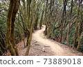 Mountain trail Suma Alps vertical runway 73889018