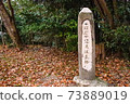 Suma Alps vertical runway pillar 73889019