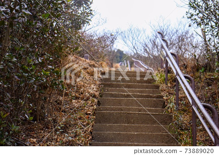 山間小道:害怕石階 山間小道:害怕石階 73889020