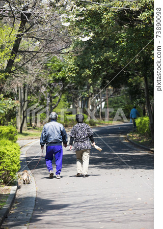 Senior couple walking on the green road Senior couple walking on the green road 73890098