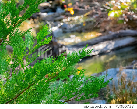 Sunny view of the Horsetail Fall Trail at Lake Tahoe Sunny view of the Horsetail Fall Trail at Lake Tahoe 73890738