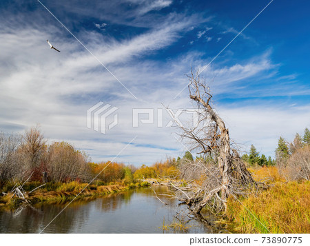 Morning landscape of the Lake Tahoe area 73890775