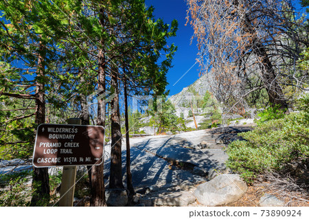 Sunny view of the Horsetail Fall Trail at Lake Tahoe Sunny view of the Horsetail Fall Trail at Lake Tahoe 73890924