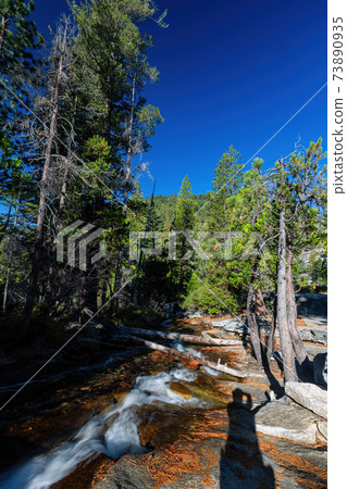 Sunny view of the Horsetail Fall Trail at Lake Tahoe Sunny view of the Horsetail Fall Trail at Lake Tahoe 73890935