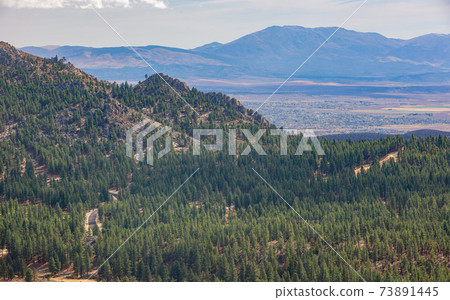 Sunny high angle view of the rural area of Carson City Sunny high angle view of the rural area of Carson City 73891445