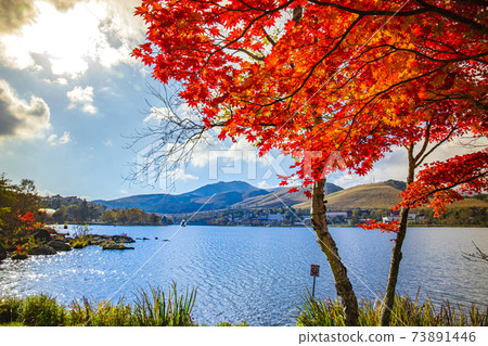 [Nagano] Lake Shirakaba in autumn 73891446