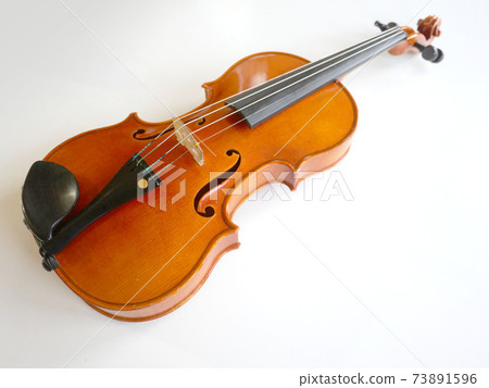Placed violin Placed violin 73891596