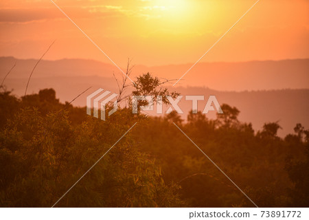 View sunset on mountain with hill warm light sun, Beautiful landscape tree nature sunrise. View sunset on mountain with hill warm light sun, Beautiful landscape tree nature sunrise. 73891772