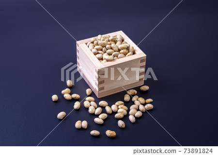 節分 節分 73891824