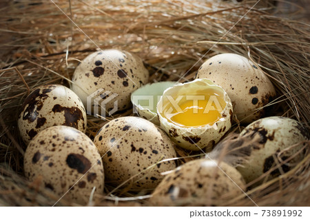 Several quail eggs in a decorative nest made of straw on a wooden table close-up 73891992