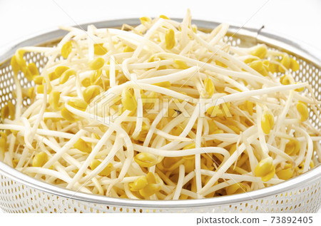 Bean sprouts Bean sprouts 73892405