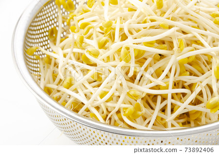Bean sprouts Bean sprouts 73892406
