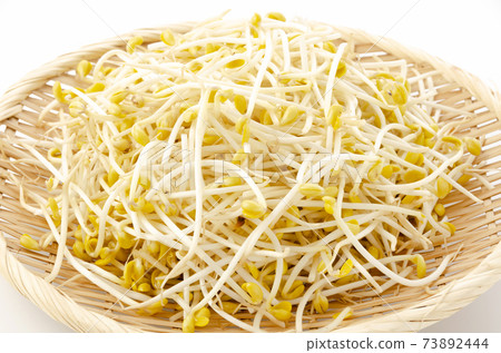 Bean sprouts Bean sprouts 73892444