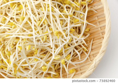 Bean sprouts 73892460