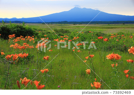 Mt. Mountain seen from Koshimizu Native flower garden Mt. Mountain seen from Koshimizu Native flower garden 73892469