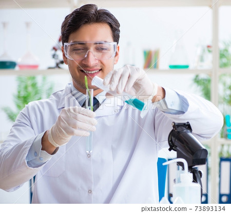 Male biochemist working in the lab on plants 73893134