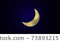 Crescent Moon  73893215