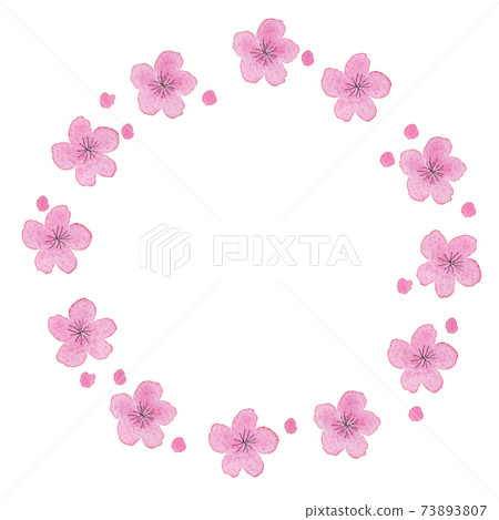 Watercolor illustration of pink plum blossom wreath Watercolor illustration of pink plum blossom wreath 73893807