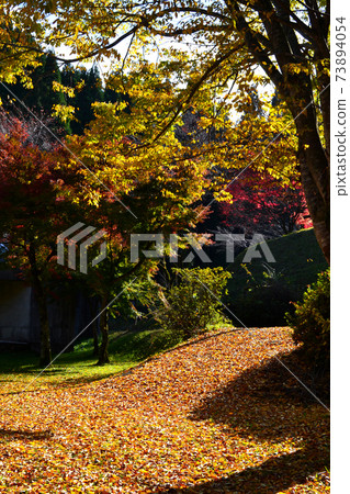 Oita's famous spot for autumn leaves, Hinata Valley (Hinatamenosato Camping Park) Oita's famous spot for autumn leaves, Hinata Valley (Hinatamenosato Camping Park) 73894054