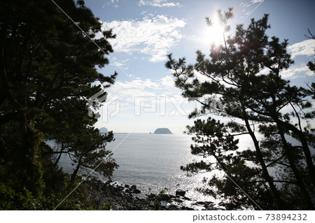 Scenery 73894232