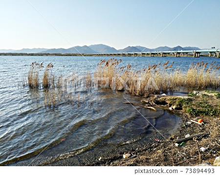Nakdong River downstream scenery 73894493