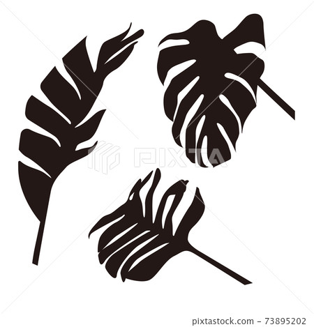 Monstera leaf silhouettes at various angles - Stock Illustration [73895202]  - PIXTA
