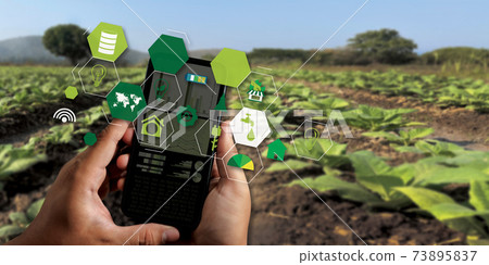 agriculture technology concept man Agronomist Using a Tablet Internet of things report. 73895837