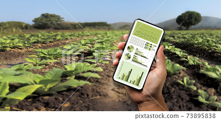 agriculture technology concept man Agronomist Using a Tablet Internet of things report. agriculture technology concept man Agronomist Using a Tablet Internet of things report. 73895838