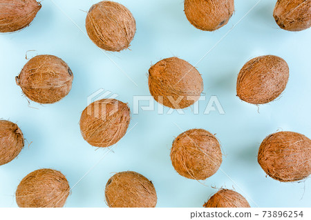 Pattern with coconuts and green leaves on blue background. Tropical abstract background. Flat lay, top view. 73896254