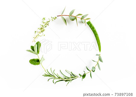 Round wreath frame made of mix of herbs, green branches, leaves mint, aloe Vera, eucalyptus, thyme and plants collection on white background. Flat lay Round wreath frame made of mix of herbs, green branches, leaves mint, aloe Vera, eucalyptus, thyme and plants collection on white background. Flat lay 73897108