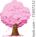Hanabuki snow dances cherry blossom trees associated with admission and graduation 73897232