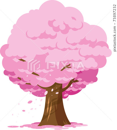 Hanabuki snow dances cherry blossom trees associated with admission and graduation 73897232