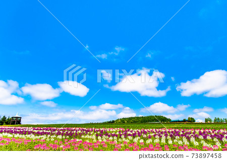 北海道上富良野町花田上富良野 73897458