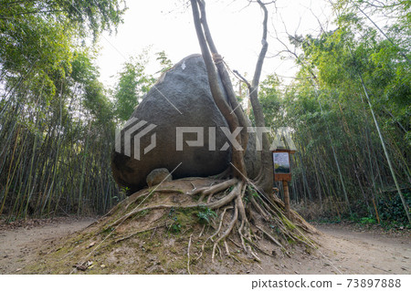 Kamiari Shrine / Kamiishi_Itoshima City, Fukuoka Prefecture 73897888
