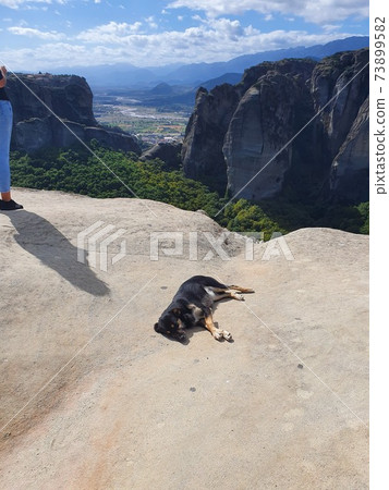 Dog taking a nap in Meteora Dog taking a nap in Meteora 73899582