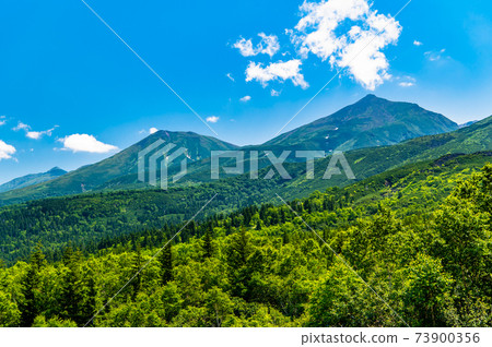 從十勝岳展望台眺望北海道美瑛町美瑛岳和美瑛富士 73900356