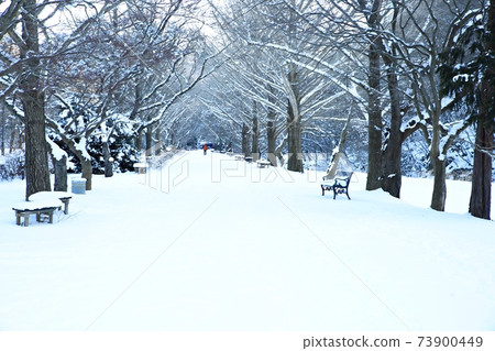 Winter Snow, Frozen, Seonunsa Temple Winter Snow, Frozen, Seonunsa Temple 73900449