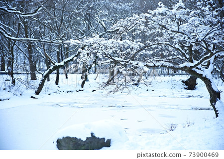 Winter Snow, Frozen, Seonunsa Temple Winter Snow, Frozen, Seonunsa Temple 73900469