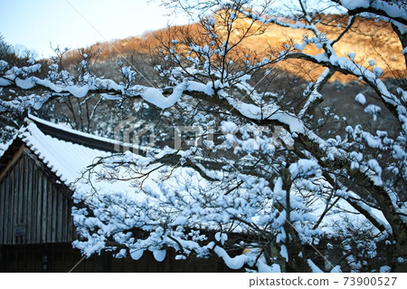 冬雪,冰封,仙雲寺 冬雪,冰封,仙雲寺 73900527