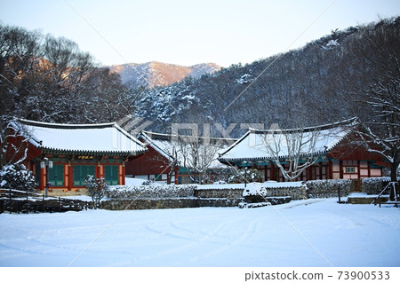 Winter Snow, Frozen, Seonunsa Temple 73900533