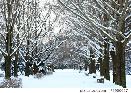 Frozen, Winter Scenery, Seonunsa Temple Frozen, Winter Scenery, Seonunsa Temple 73900627