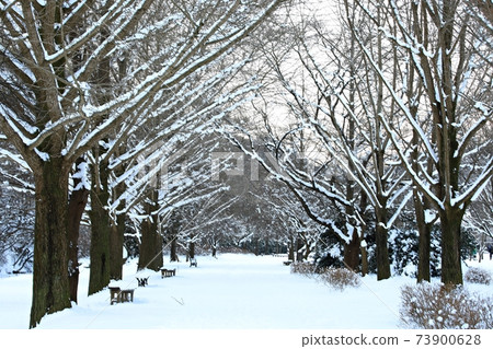 Frozen, Winter Scenery, Seonunsa Temple Frozen, Winter Scenery, Seonunsa Temple 73900628
